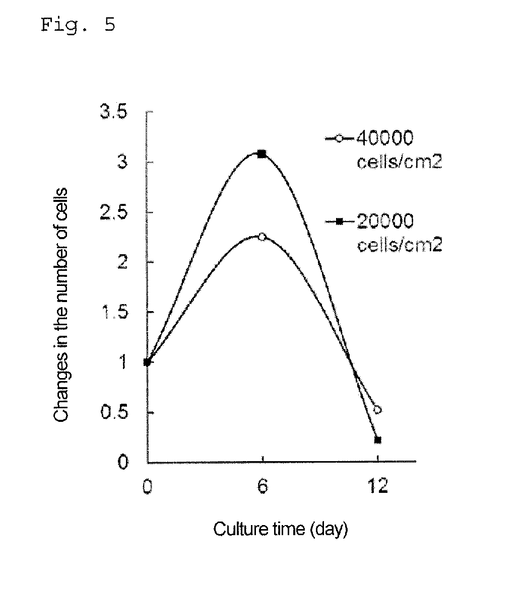 Purification method for pancreatic precursor cells derived from pluripotent stem cells and amplification method therefor