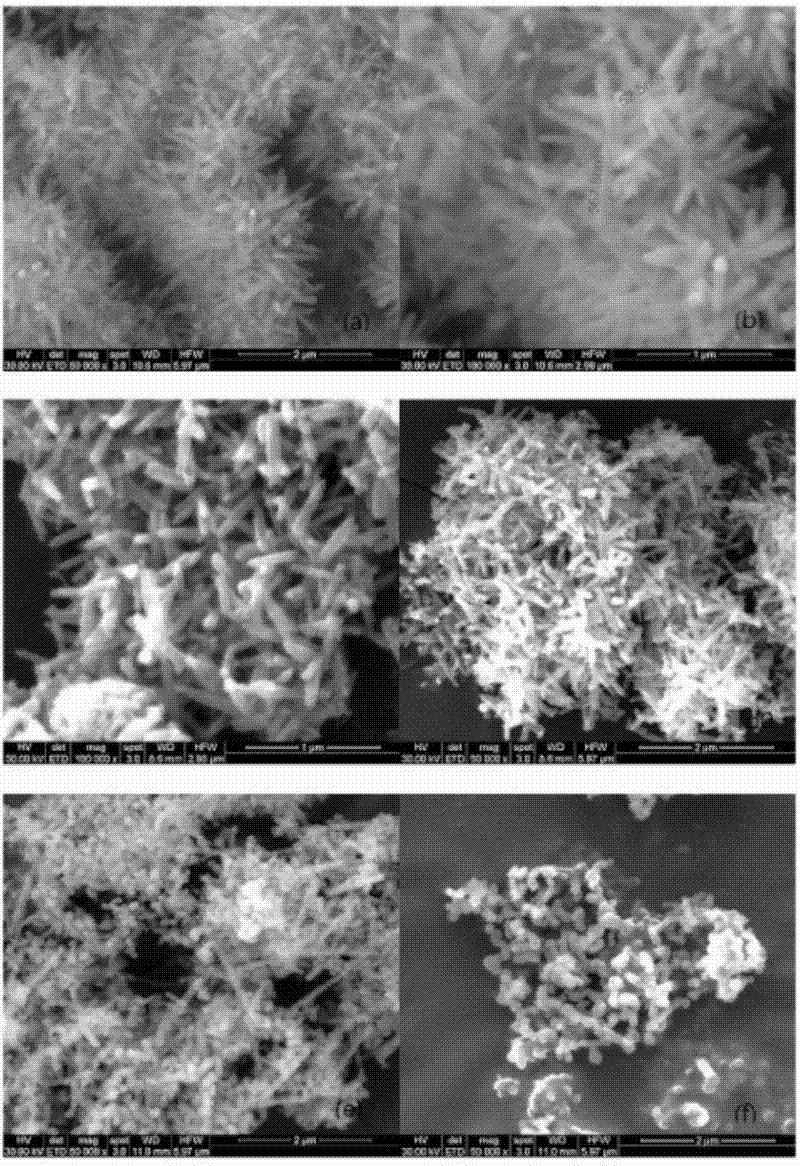 Method for synthesizing three-dimensional porous ferric oxide nano rod cluster