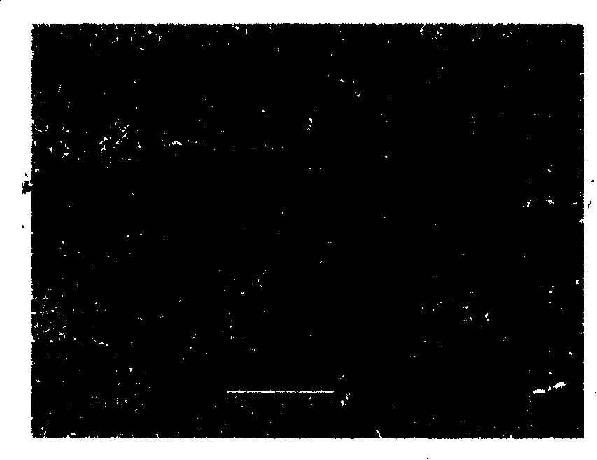 Method for preparing ultra-hydrophobic surface on titanium-alloy