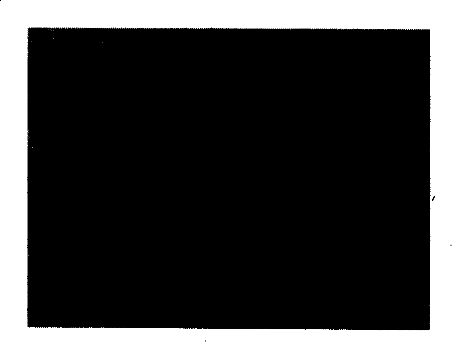 Method for preparing ultra-hydrophobic surface on titanium-alloy