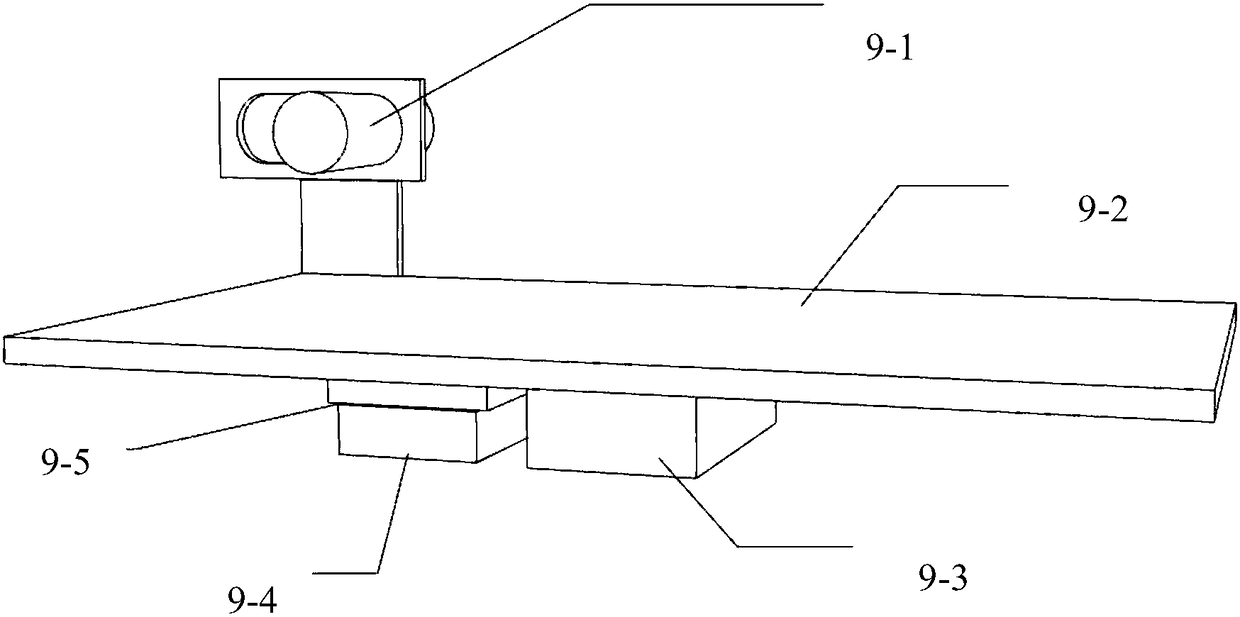 A weighing and marking device for individual poultry eggs based on a conveyor belt