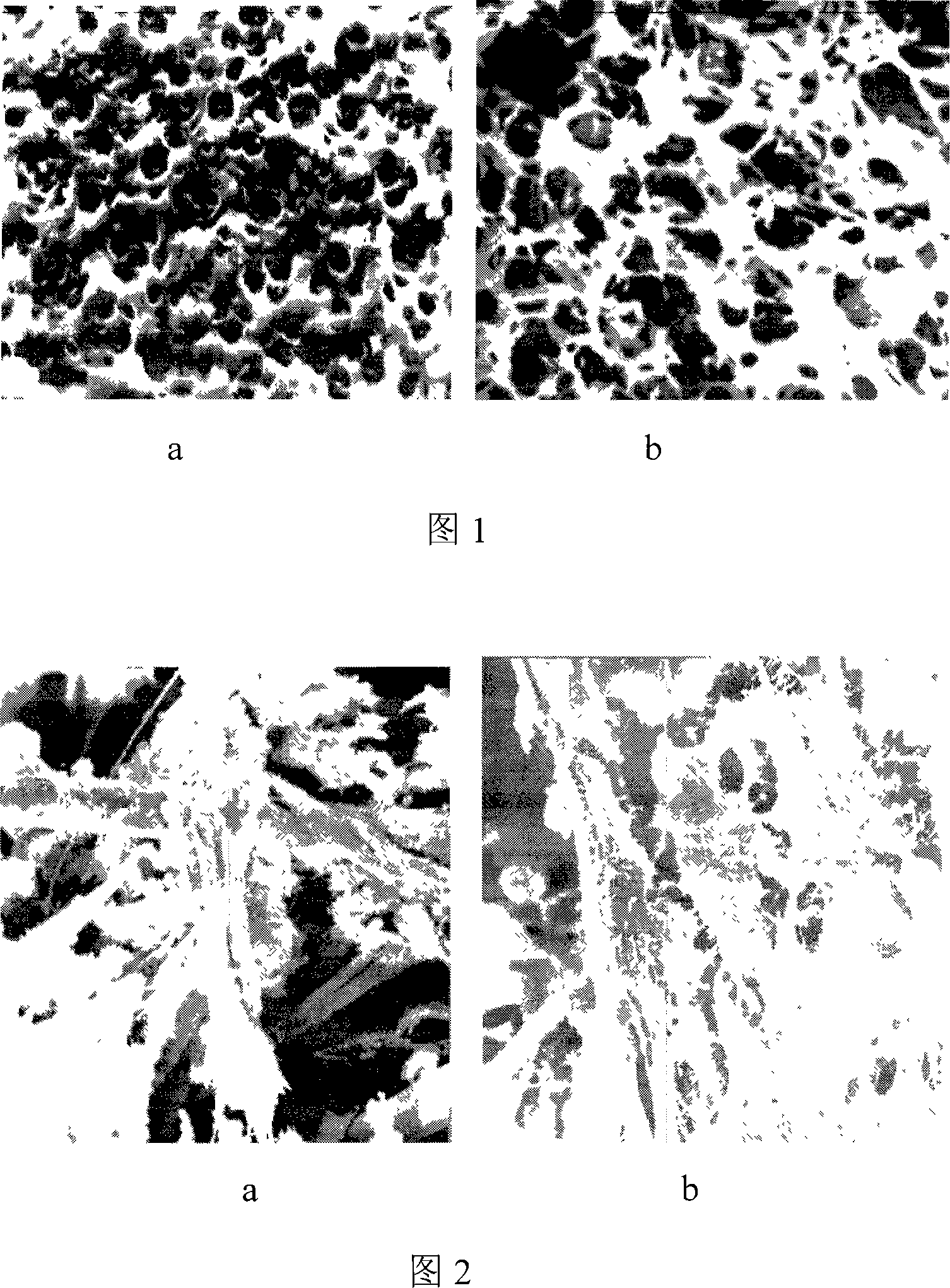 Preparation of medical bioavailability bracket material and uses thereof