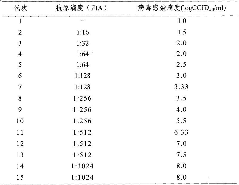 Hepatitis A virus strain SH and diploid cell adaptation method thereof
