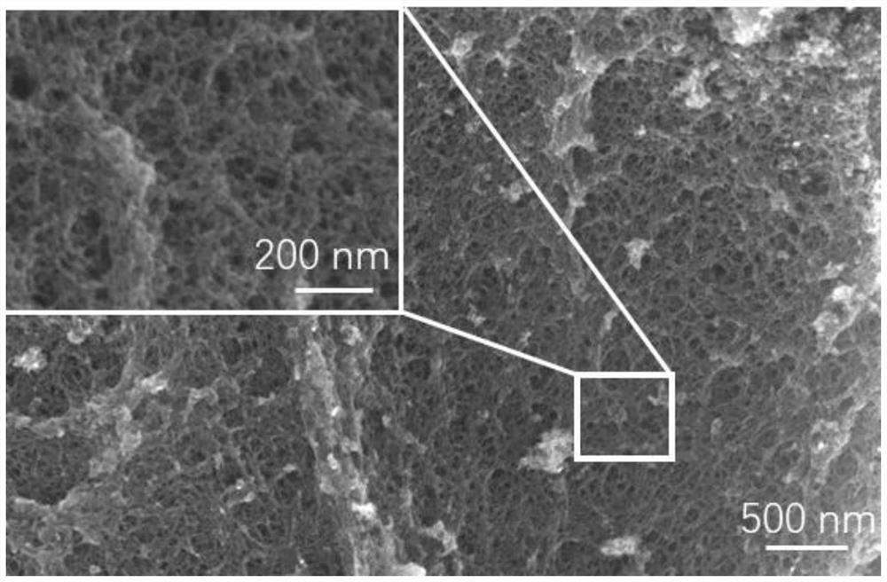 Hierarchical pore carbon microsphere carrier for immobilized enzyme and its preparation method and application