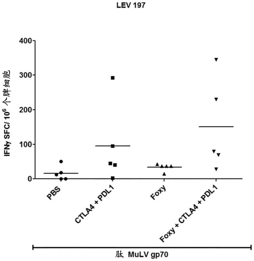 Peptides in combination with immune checkpoint inhibitors for use in treatment of cancer