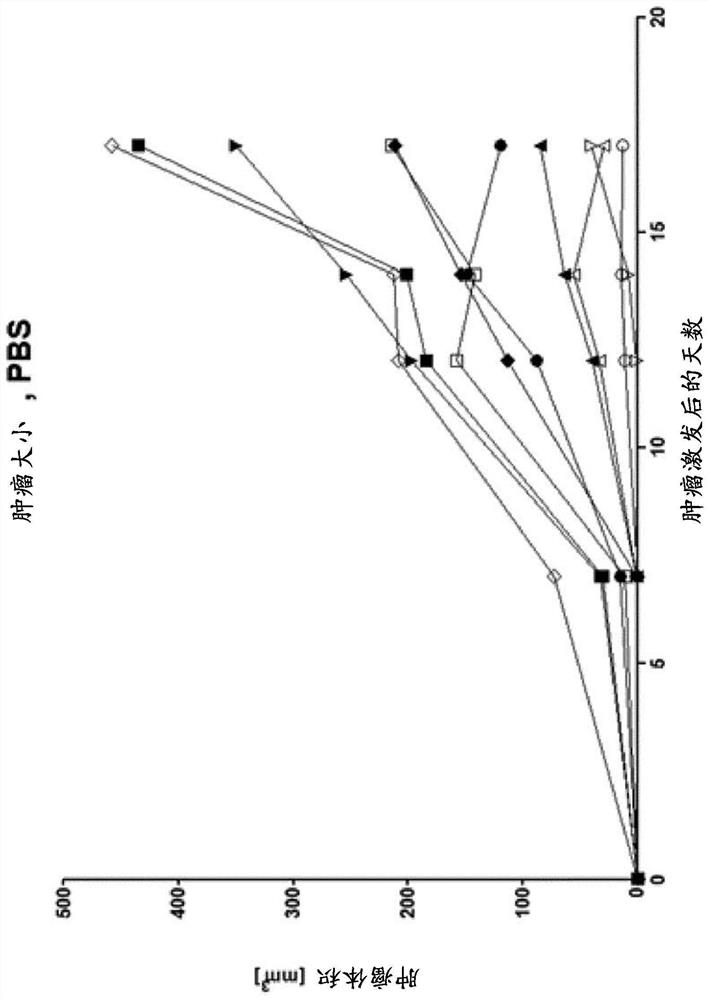 Peptides in combination with immune checkpoint inhibitors for use in treatment of cancer