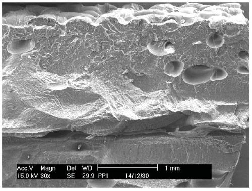 A high-melt strength impact-resistant polypropylene foam board and its preparation method