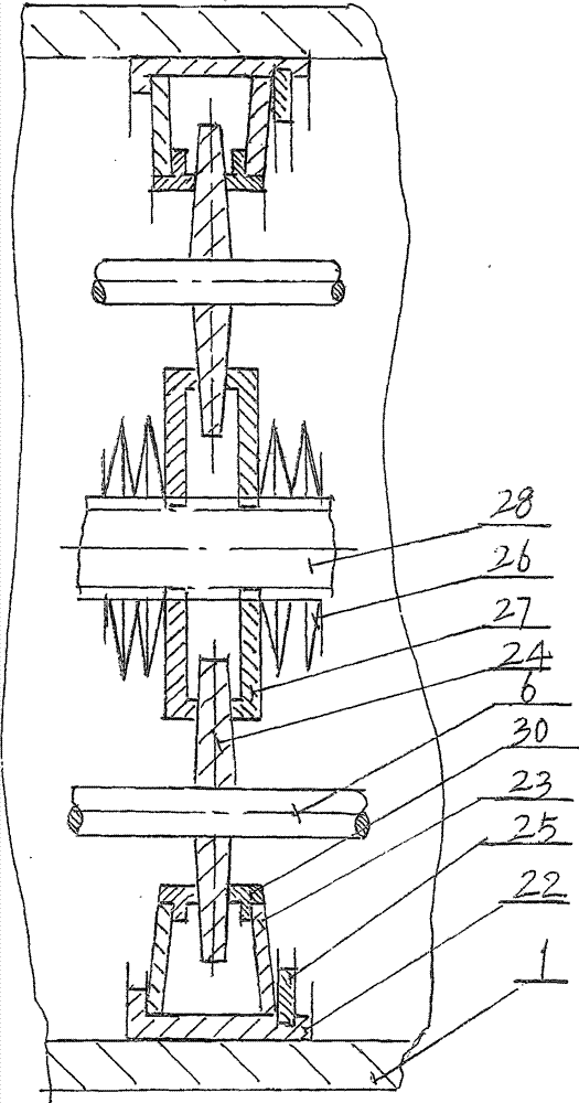 Radial roller screw and variable-speed transmission thereof