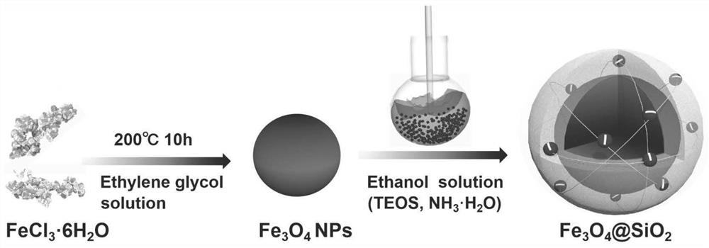 A method for magnetic nanospheres to adsorb vanadium oxide quantum dots to degrade rhodamine b