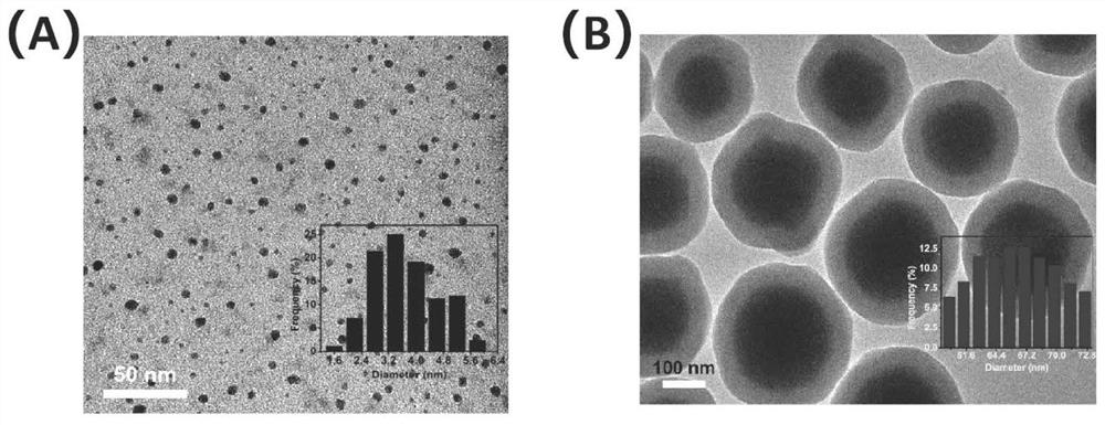 A method for magnetic nanospheres to adsorb vanadium oxide quantum dots to degrade rhodamine b