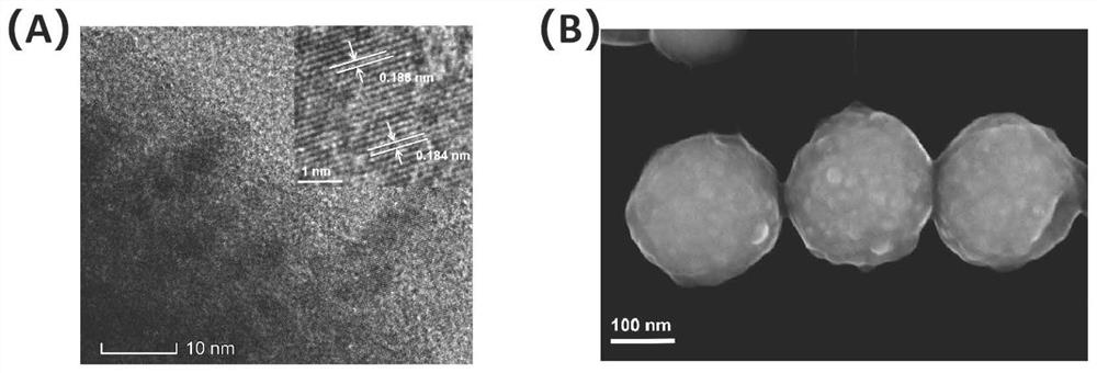 A method for magnetic nanospheres to adsorb vanadium oxide quantum dots to degrade rhodamine b