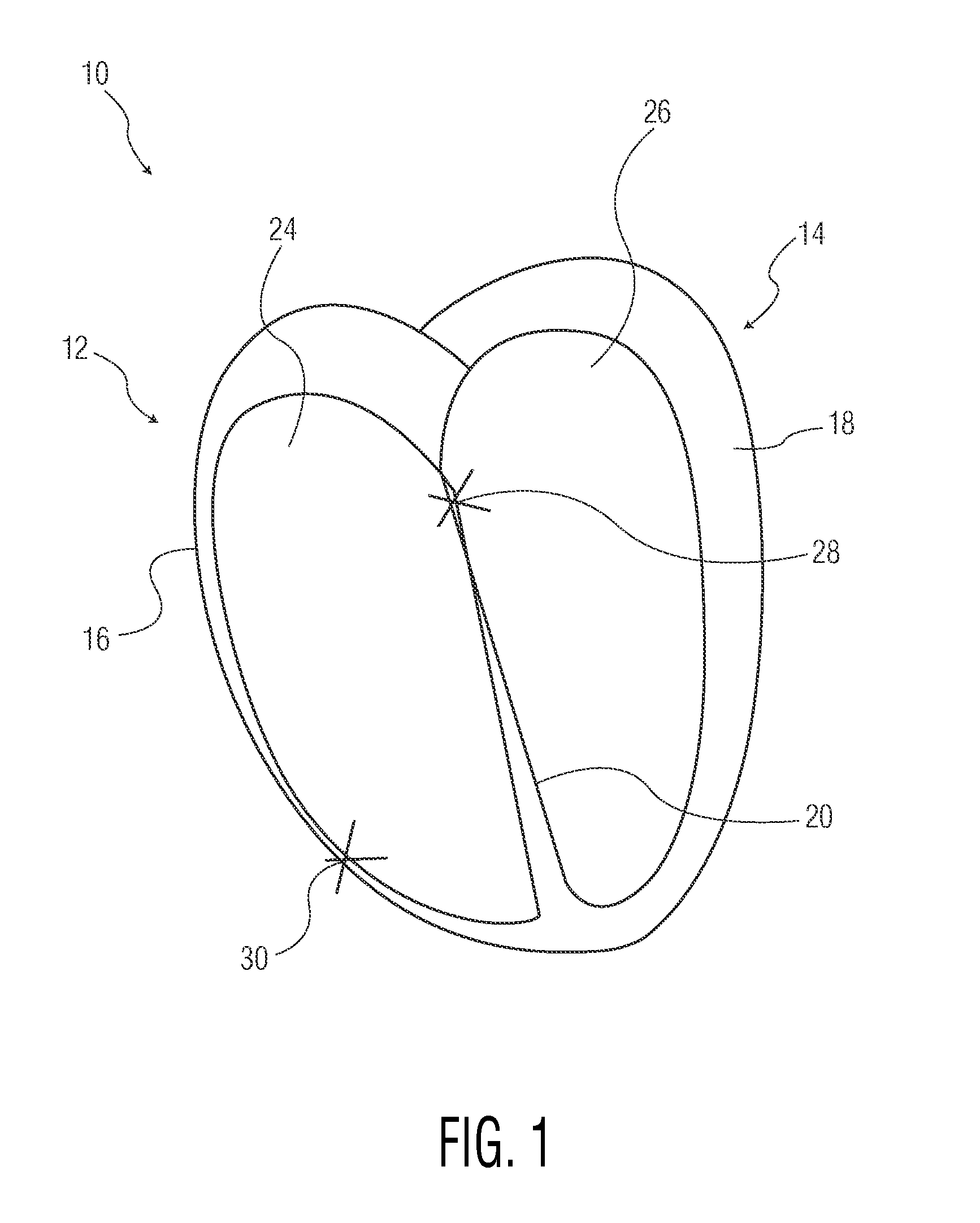Anatomically and functionally accurate soft tissue phantoms and method for generating same