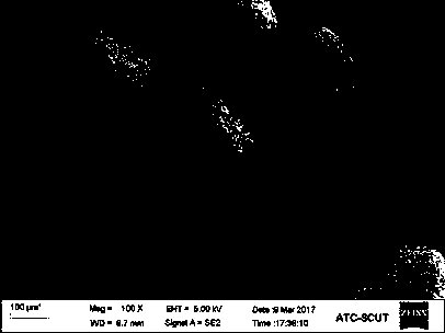 Basic zinc chloride particulate matter and preparation method thereof