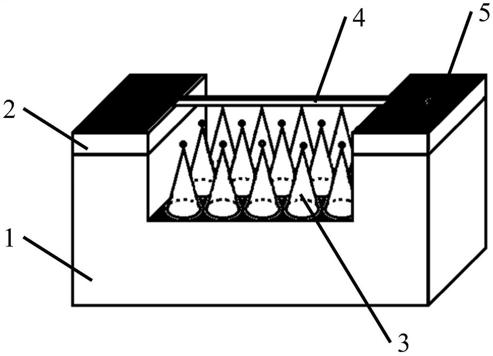 Plasma gas sensor and manufacturing method thereof