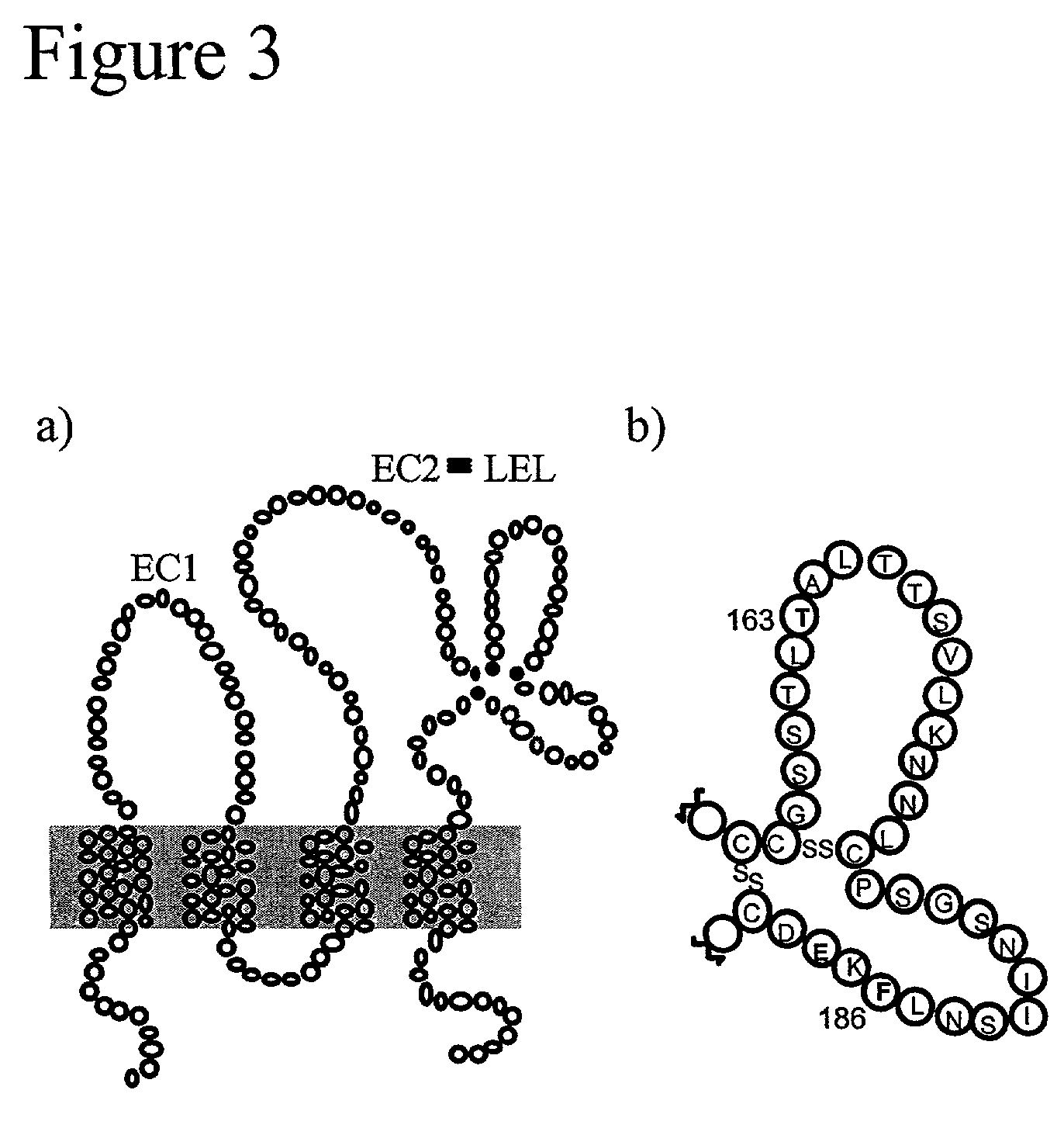 Compositions and methods for the treatment of hepatitis C virus infection