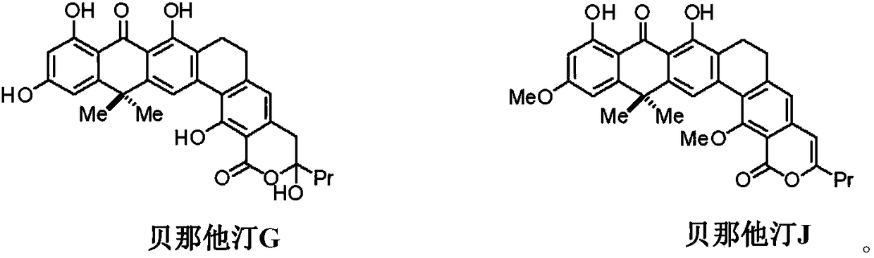 Method for synthesizing Benastatin J