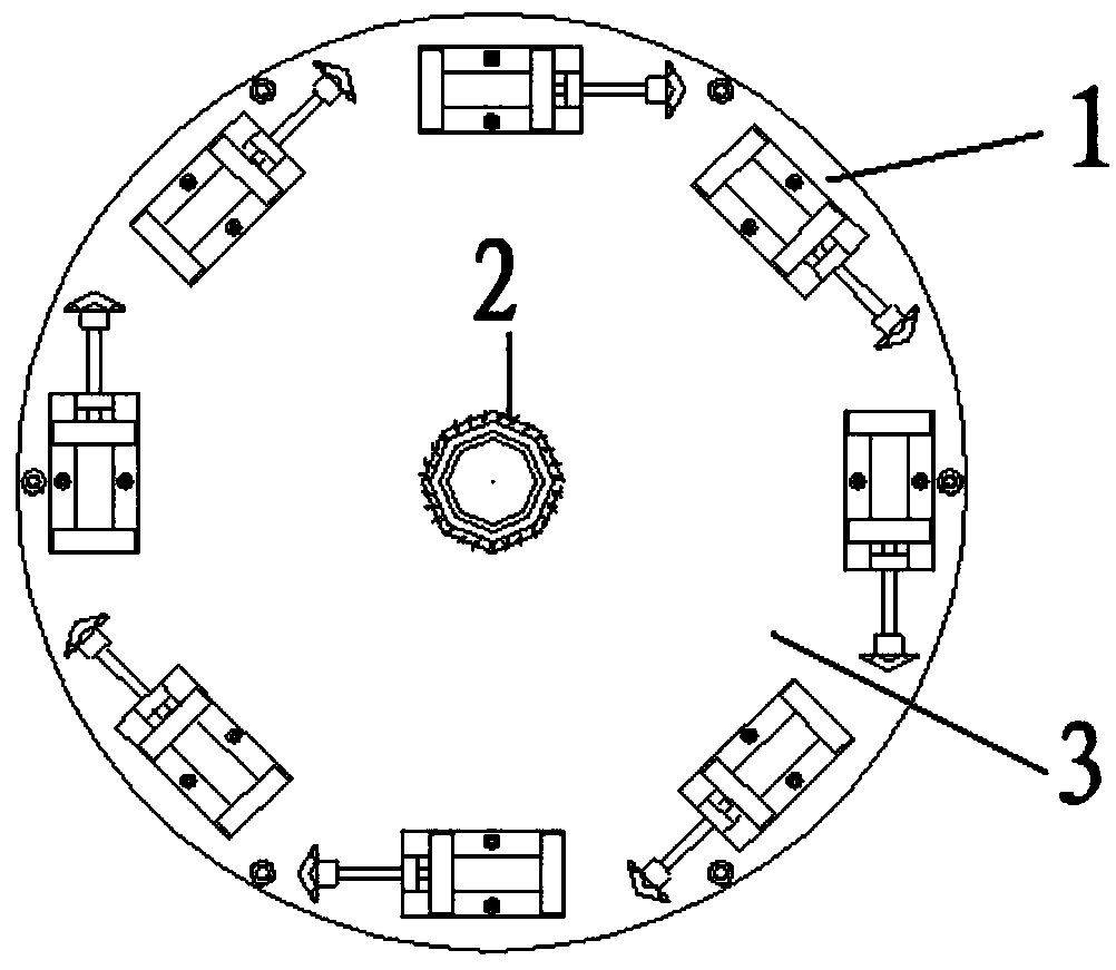 γ dose rate meter automatic rotation verification device