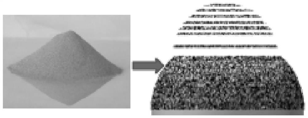 Method for preparing metal cushion block for acetabular bone defect reconstruction through 3D printing