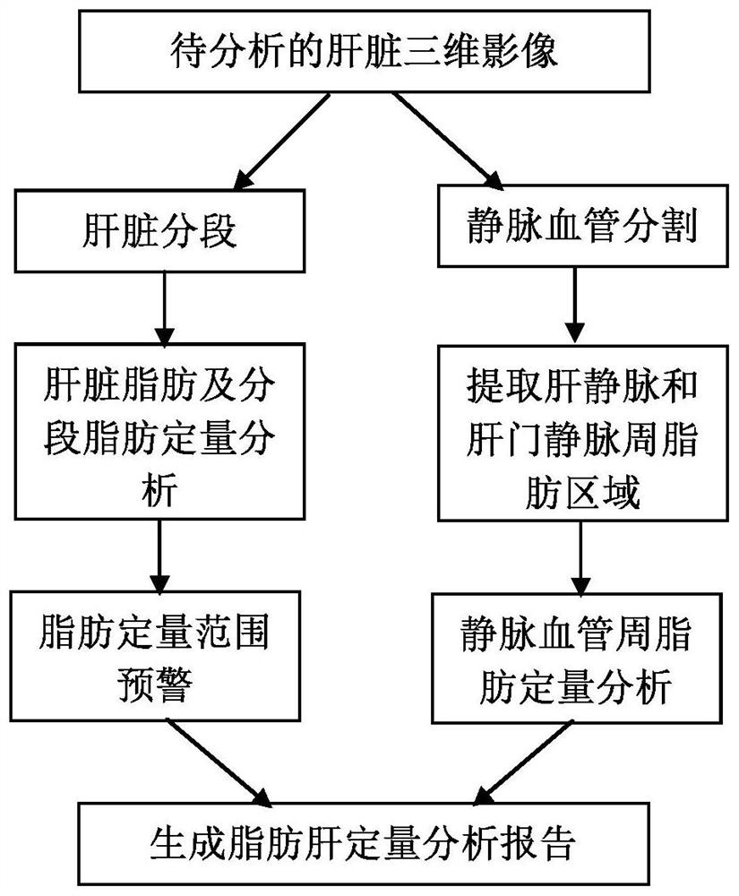 Fatty liver accurate quantitative analysis method and device, computer equipment and storage medium