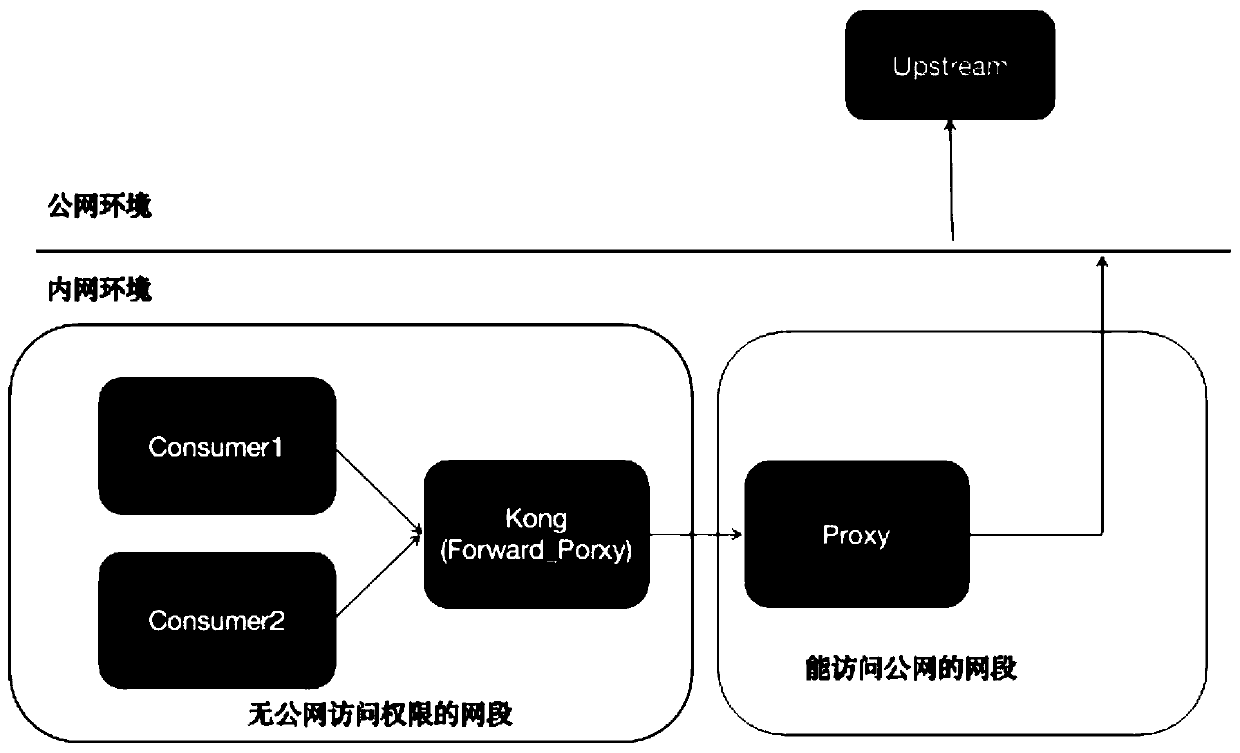 Forward proxy method realized based on Kong gateway