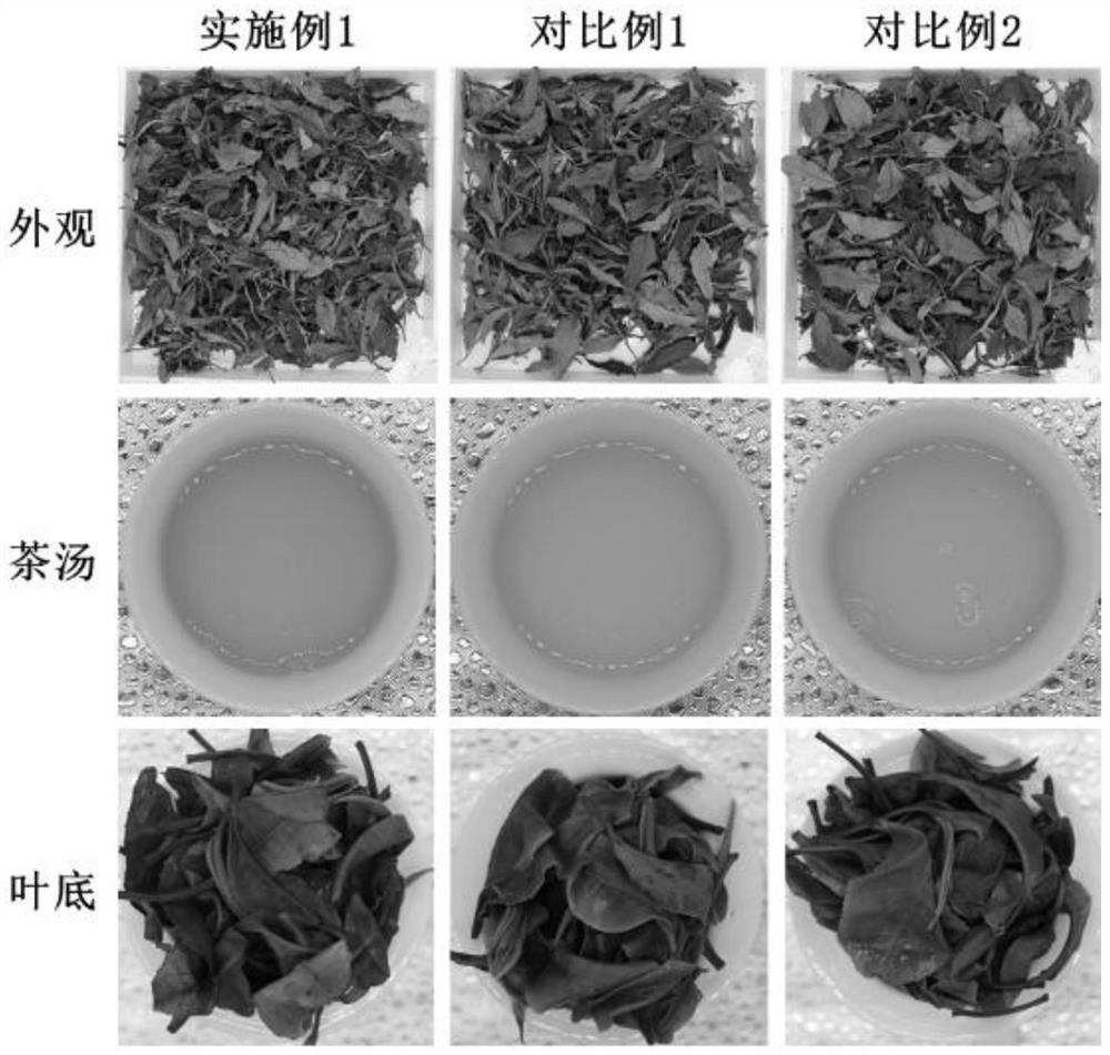 Method for improving quality of tea leaf raw materials through tree abiotic stress