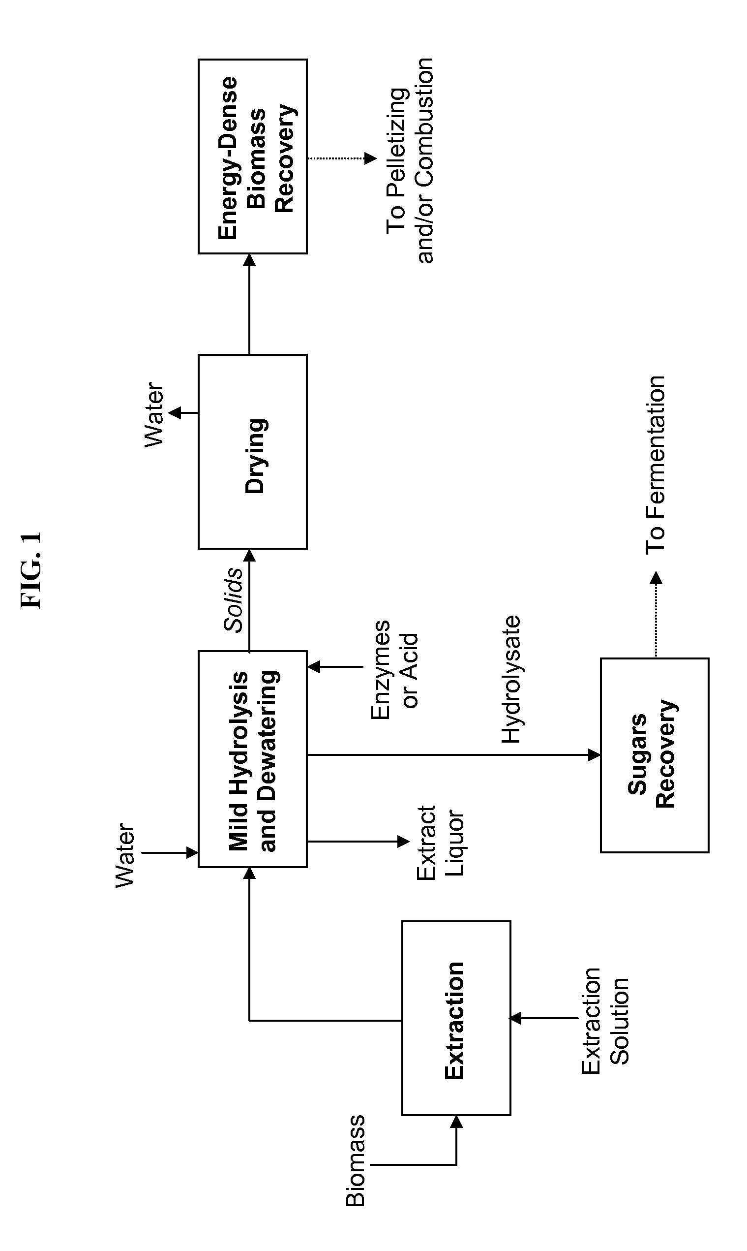 Processes and apparatus for producing energy-dense biomass for combustion and fermentable sugars from the biomass