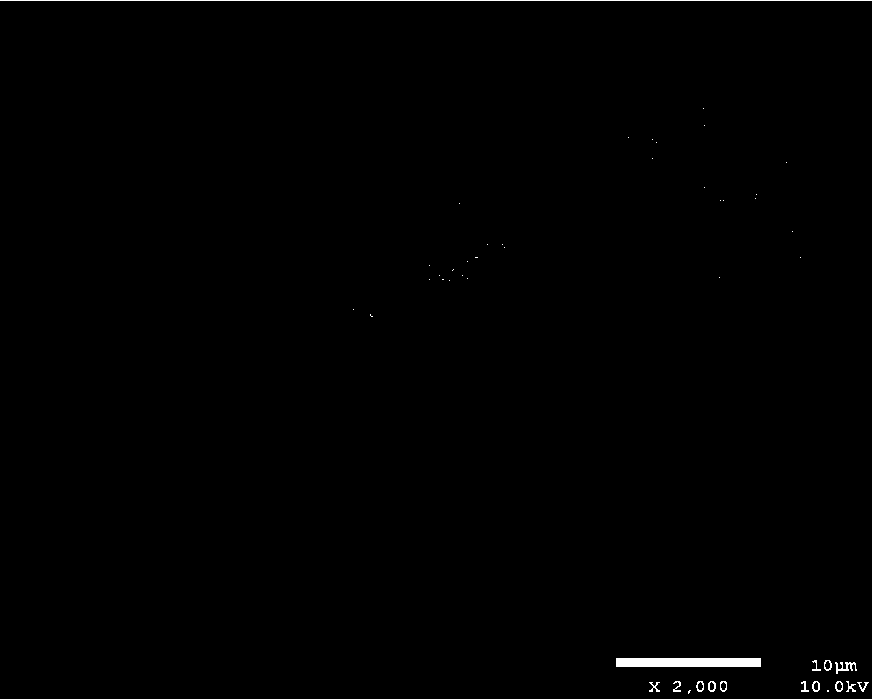 Preparation method and application of graphene oxide polymer continuous bed and method for separating and enriching phytosterol