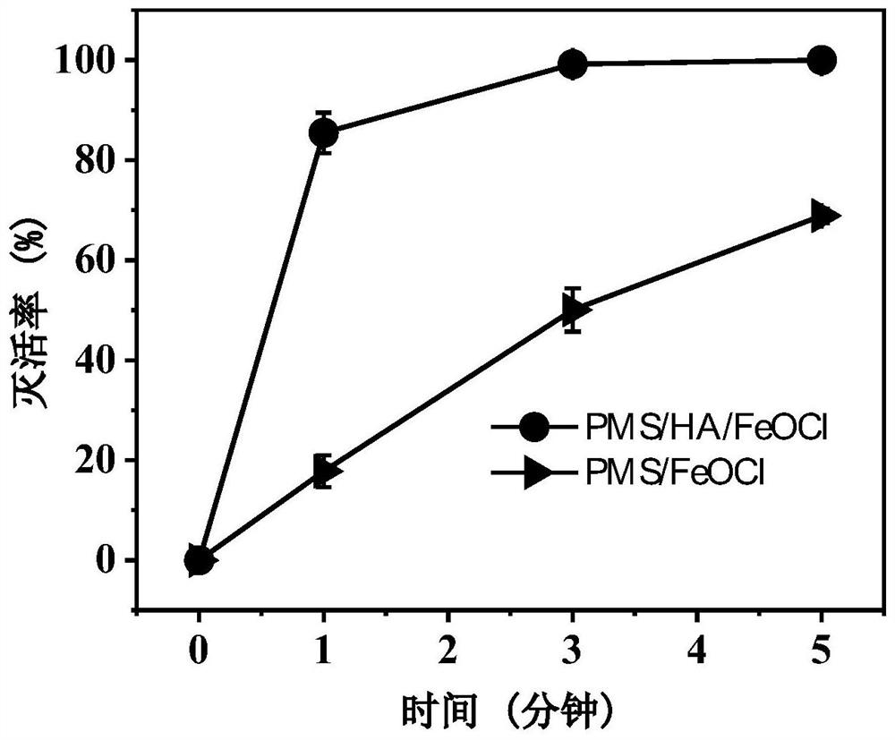 Hydroxylamine hydrochloride heterogeneous Fenton-like system and application thereof