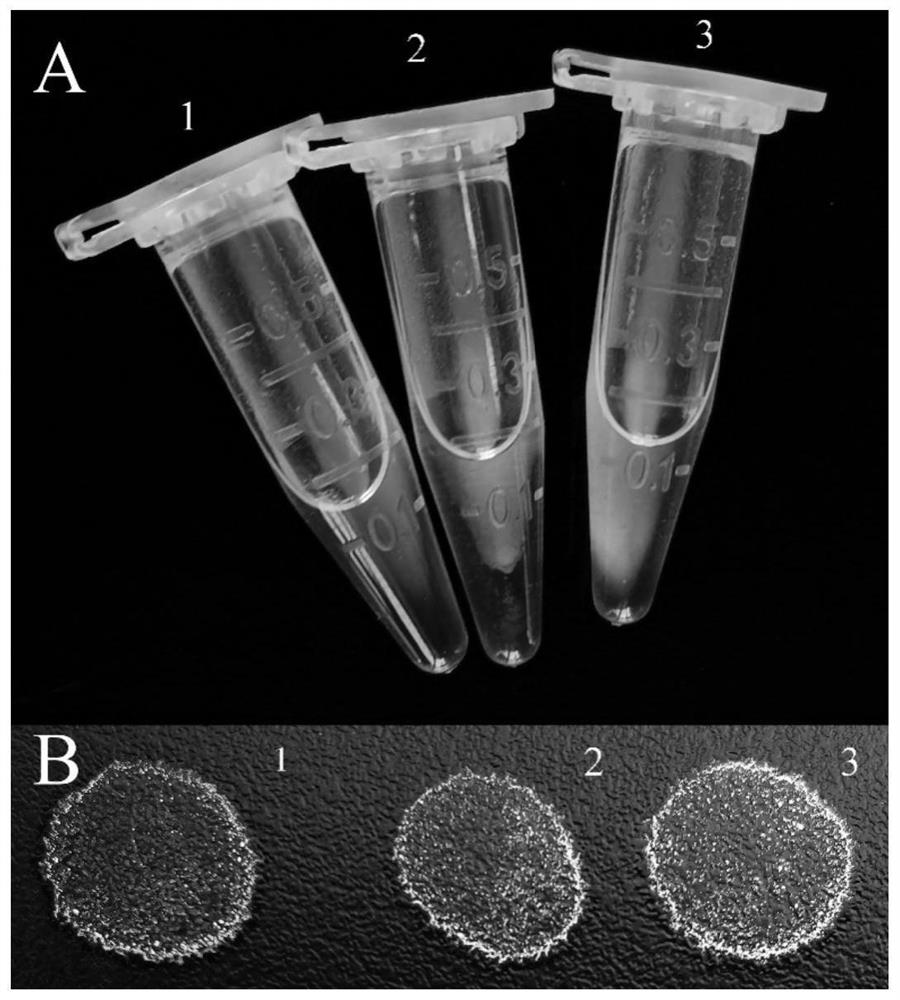 Method for preparing organic-inorganic photonic crystal composite microspheres in batches