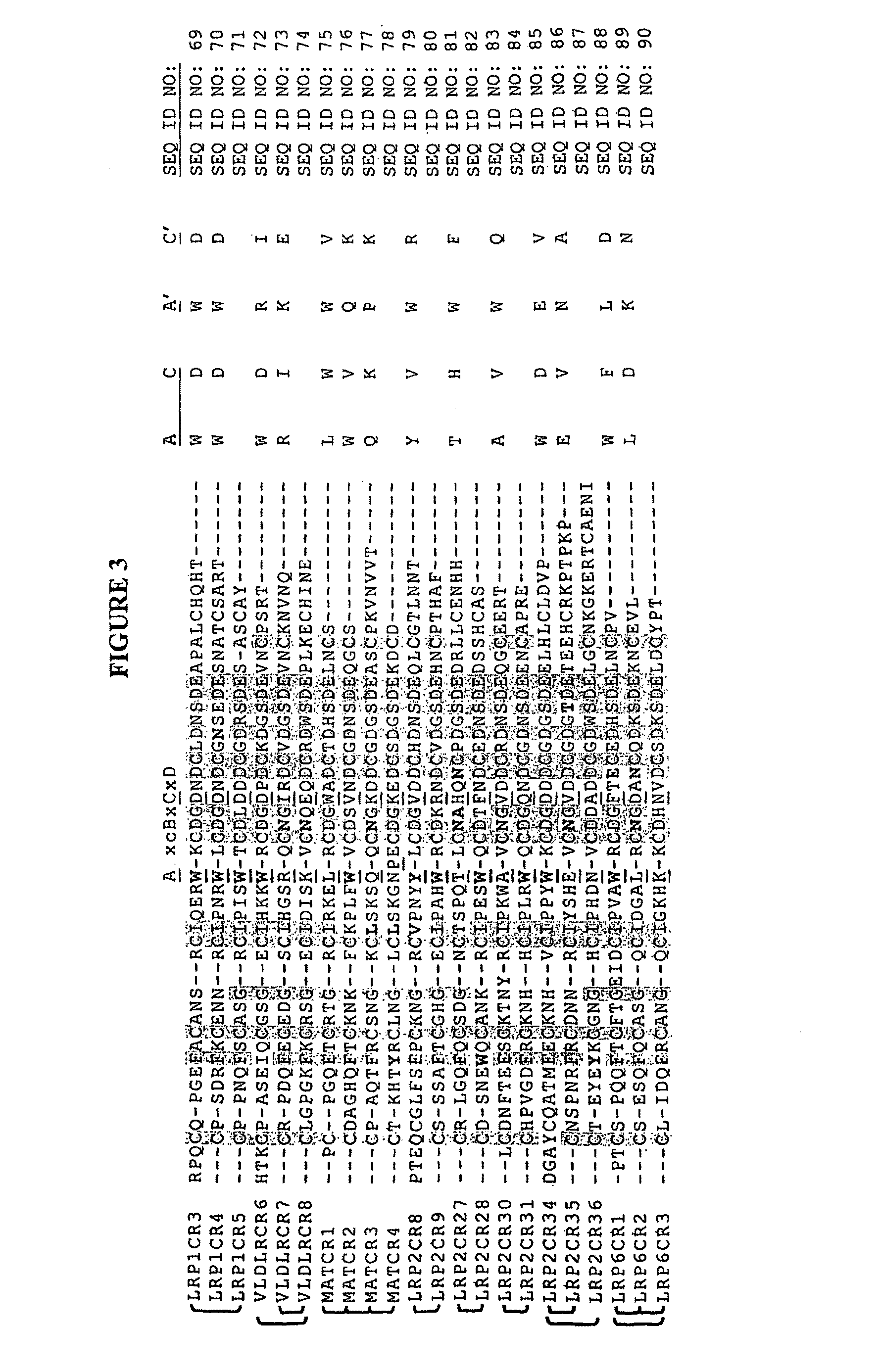 Compositions comprising receptor-associated protein (RAP) variants specific for LRP2 and uses thereof