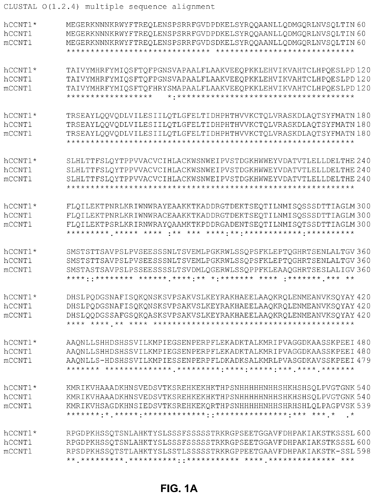 Genetically modified genes and cells, and methods of using same for silencing virus gene expression