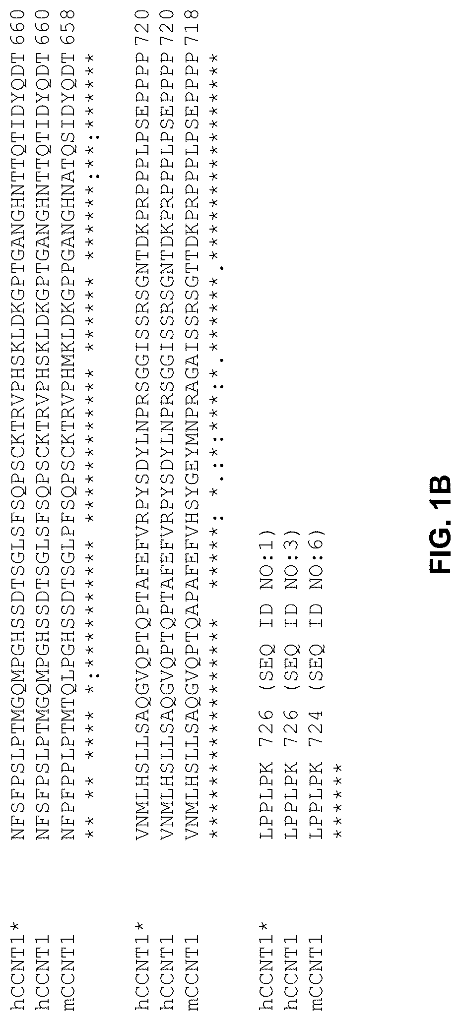 Genetically modified genes and cells, and methods of using same for silencing virus gene expression