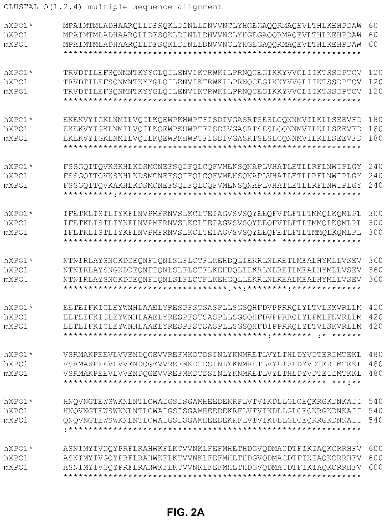 Genetically modified genes and cells, and methods of using same for silencing virus gene expression