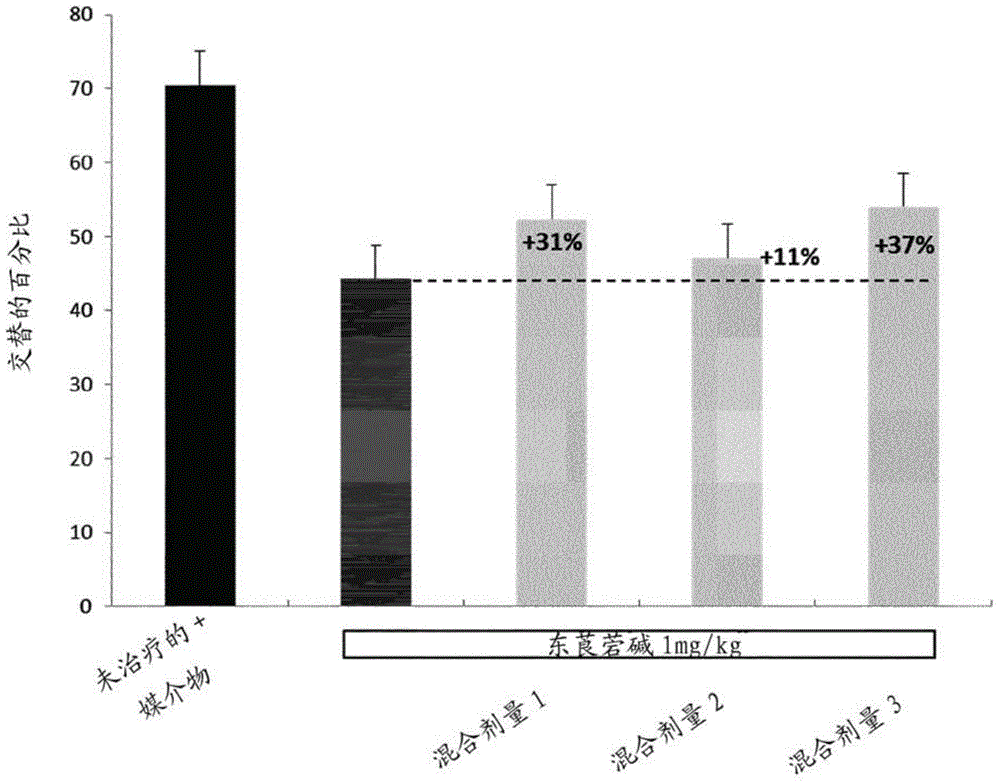 Nootropic compositions for improving memory performance