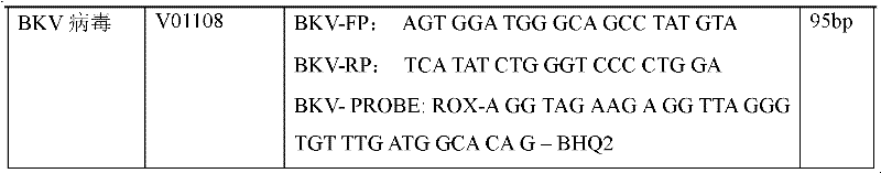 Treble real-time fluorescence quantitative polymerase chain reaction (PCR) method for simultaneously detecting epstein-barr virus (EBV), polyma virus (BKV) and cytomegalovirus (CMV) of people and kit