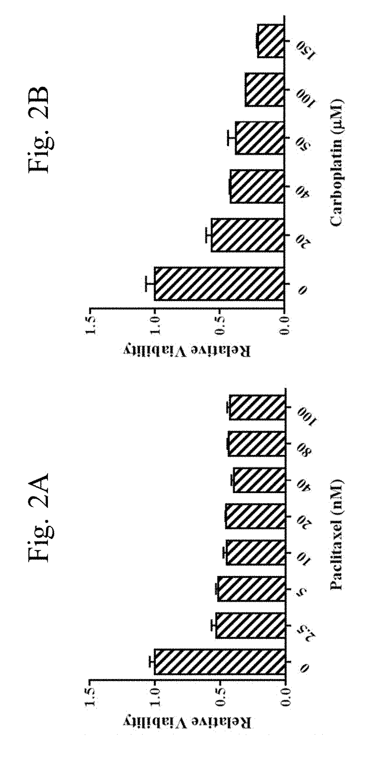 Compositions and methods for targeting cancer stem cells