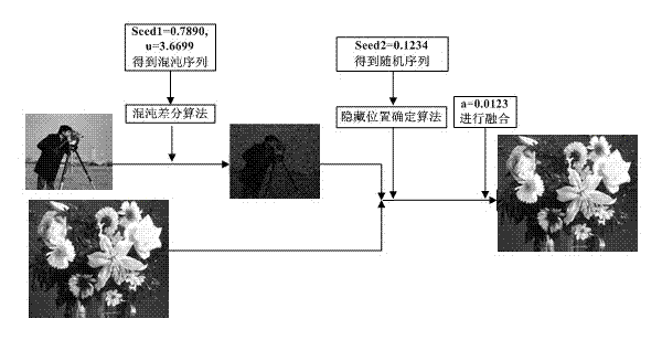 Novel image hiding method based on chaotic differential