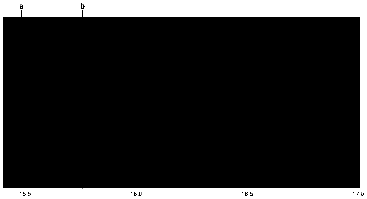 A Method for Determining the Dimensions of the Solidified Shape at a Specific Position of a Slab