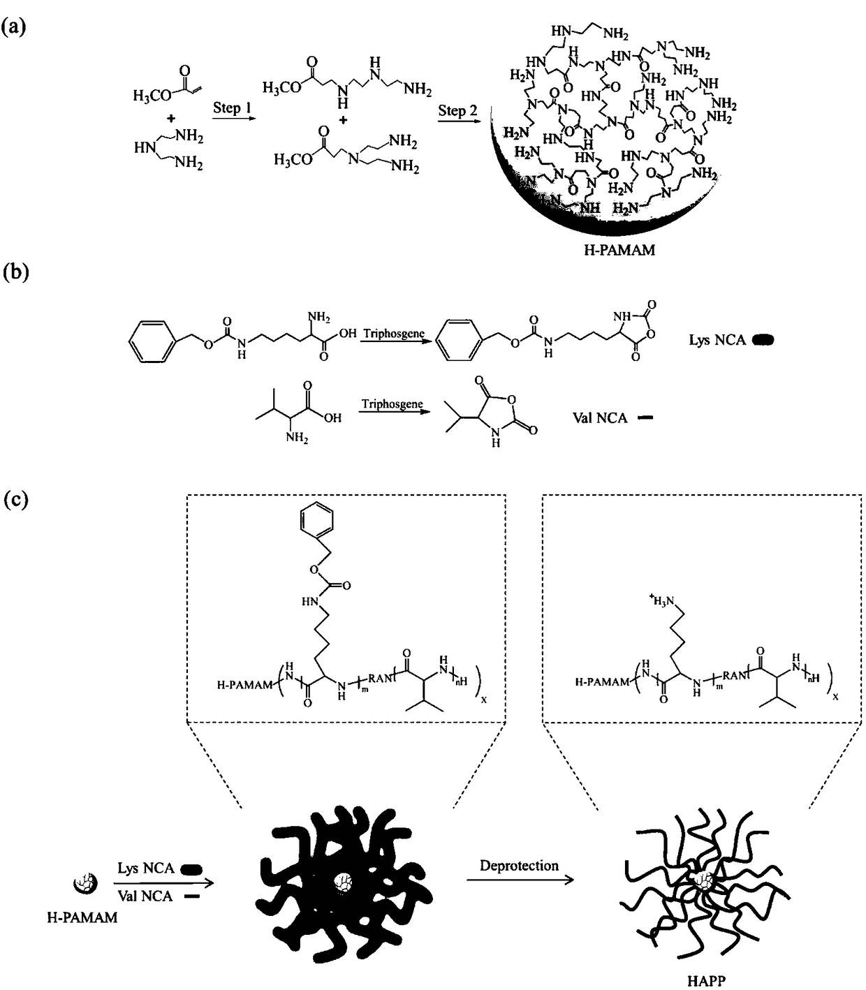 Preparation method of novel hyperbranched antibacterial peptide polymer