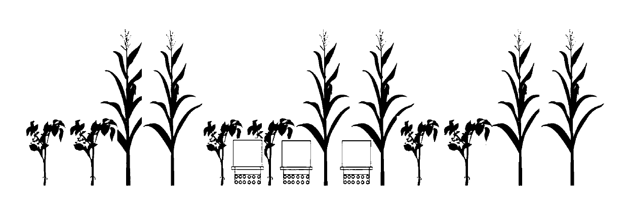 Planting mode capable of reducing emission of soil greenhouse gas N2O