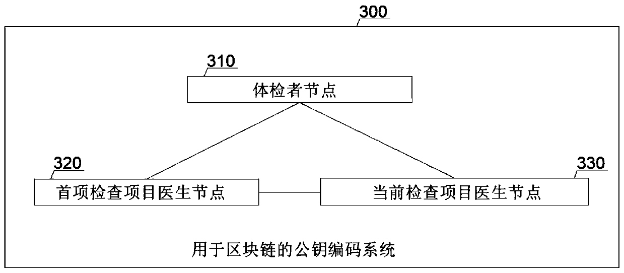 Public key coding method and system for block chain