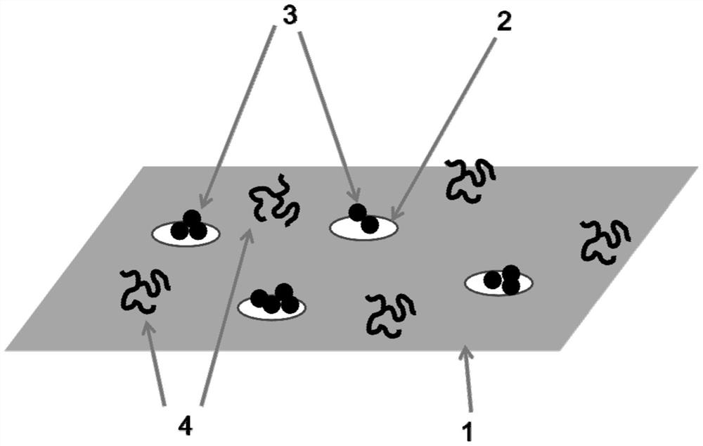 A kind of preparation method of antibacterial and antistatic spandex