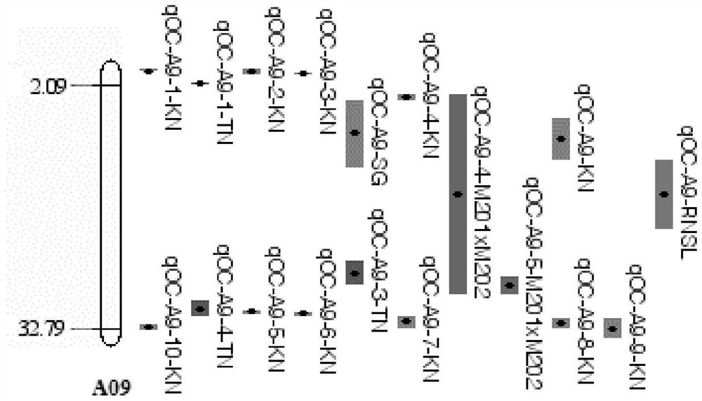 A method and system for comparing QTLs between different crop segregation populations