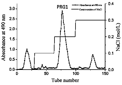 Use of Russula polysaccharide from gray meat in the preparation of medicine for treating systemic lupus erythematosus