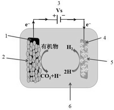 Mos in a kind of microbial electrolytic cell  <sub>2</sub> Preparation method and application of transition metal/graphene composite hydrogen evolution electrode
