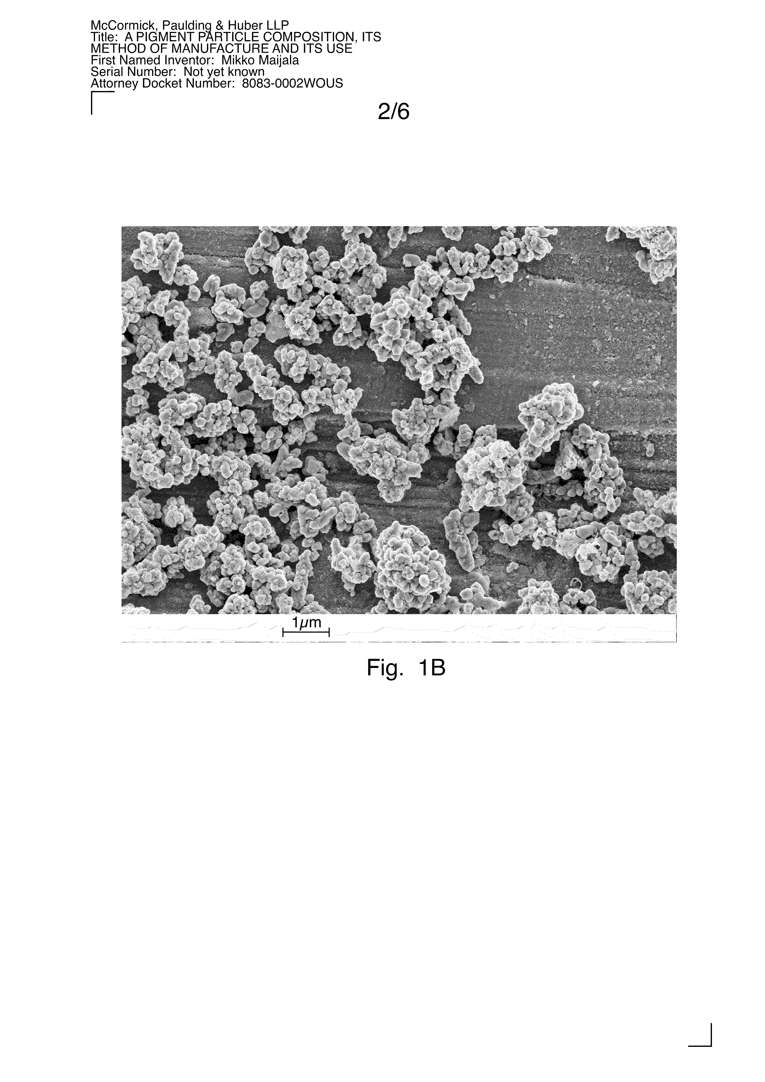 Pigment particle composition, its method of manufacture and its use