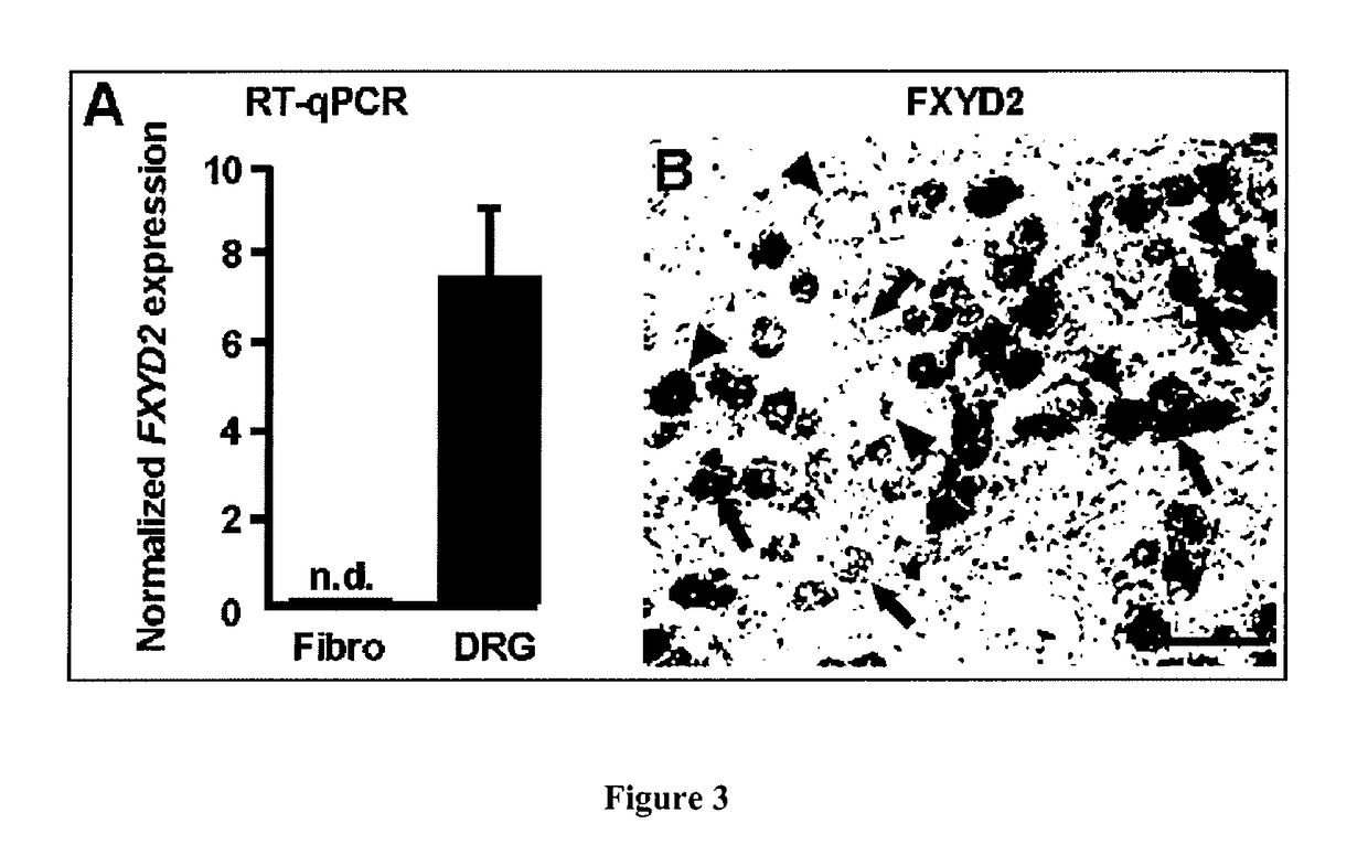 Methods and Compositions for Treating Neuropathic Pain