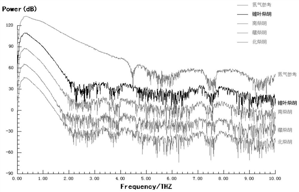 Method for identifying variety and authenticity of radix bupleuri based on terahertz spectrum technology