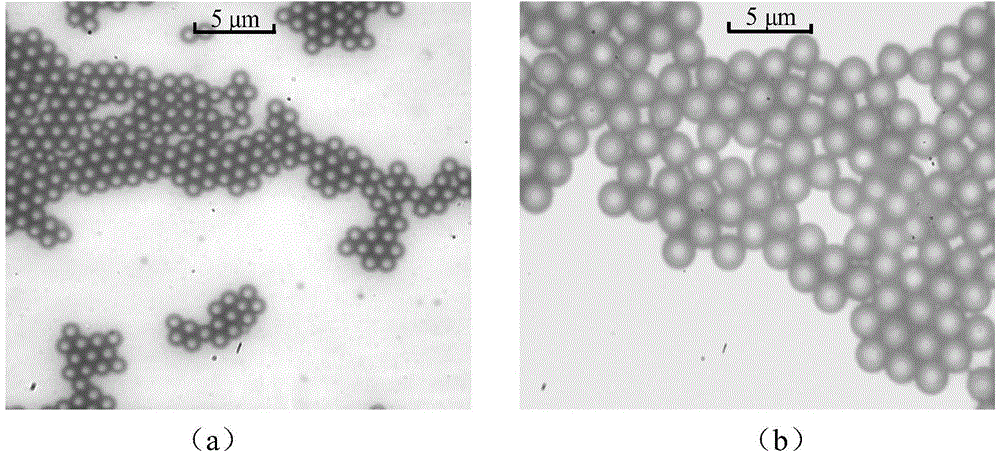 A kind of chromatographic cake filler and its application