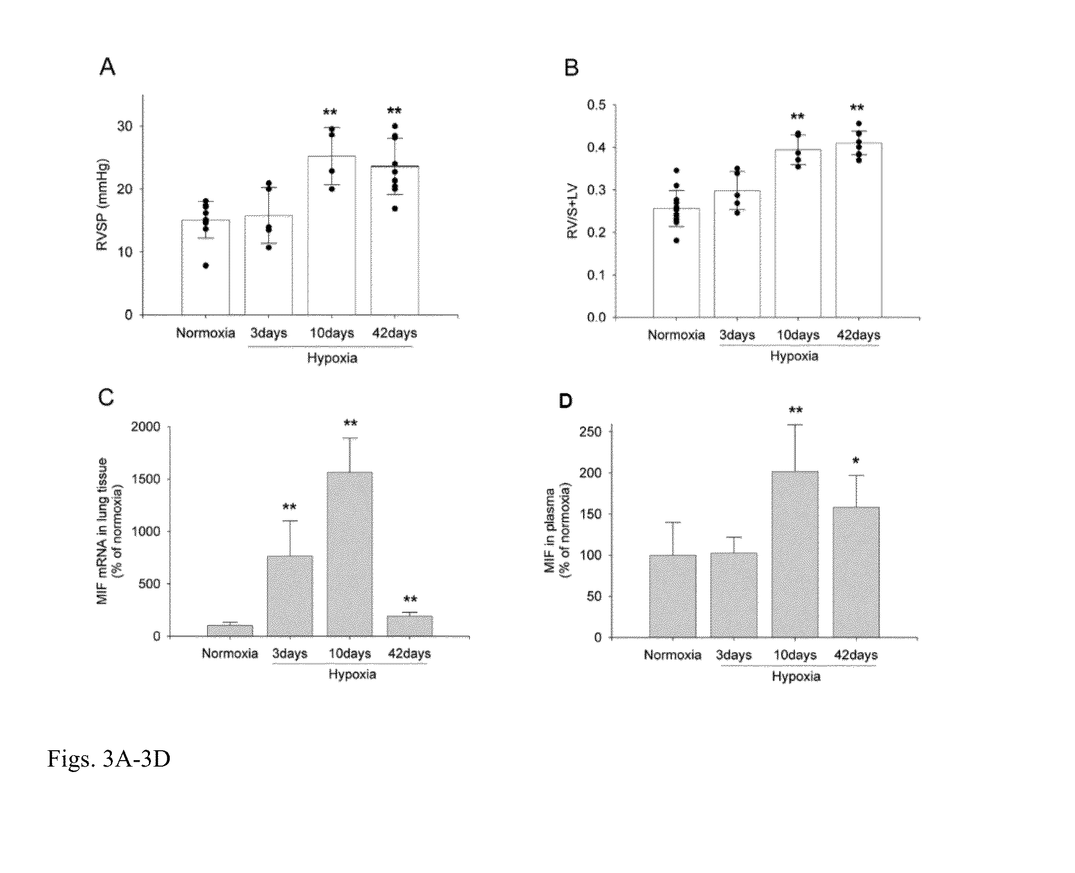 Method for treating pathologies associated with hypoxia using mif inhibitors